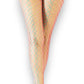 Pride fishnet tights